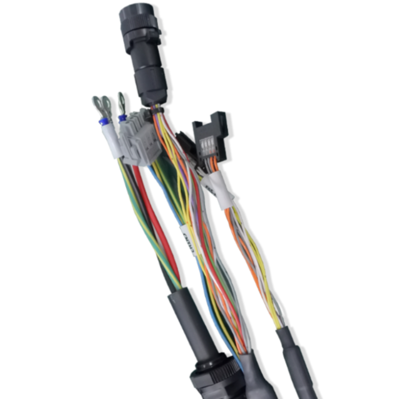 Cable Assembly - Wire Harness